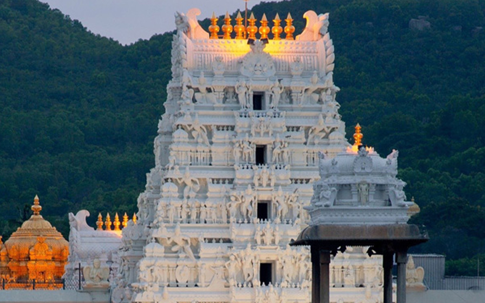 Tirupati Darshan Tour